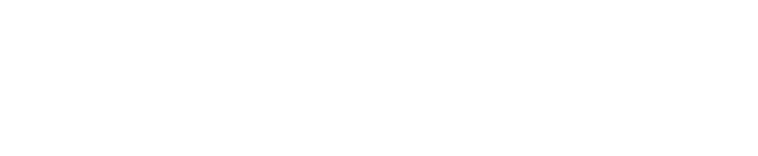 NetJets
